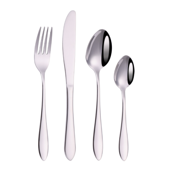 Garnitura escajga BR 295